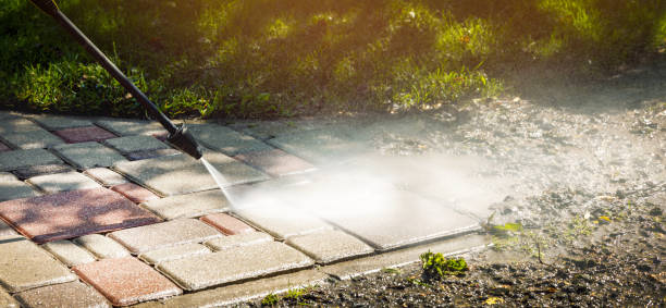 Best Graffiti Removal  in Morton, PA